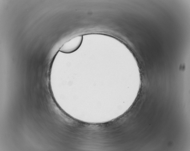 X0000112501512200909281145