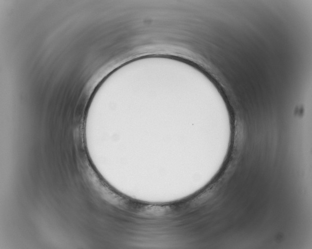 X0000112501513200909281145