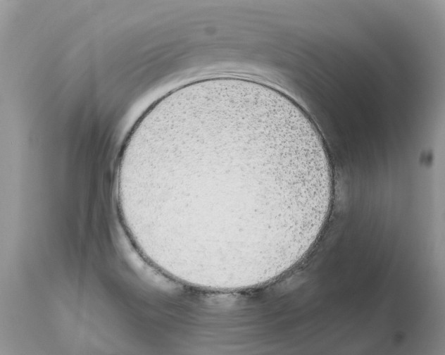 X0000112501515200909281145