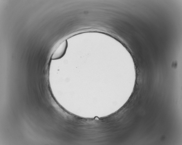 X0000112501516200909281145