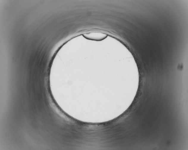 X0000112501518200909281145