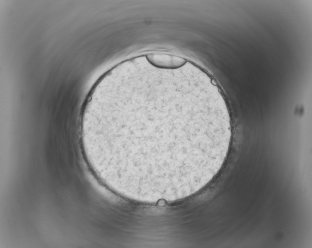 X0000112501519200909281145