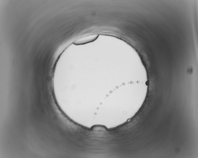 X0000112501520200909281145