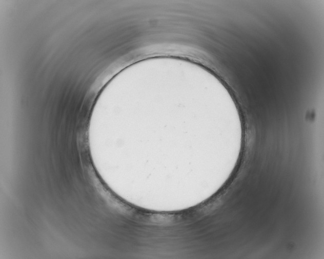 X0000112501521200909281145