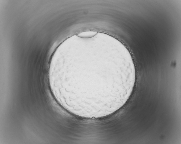 X0000112501522200909281145