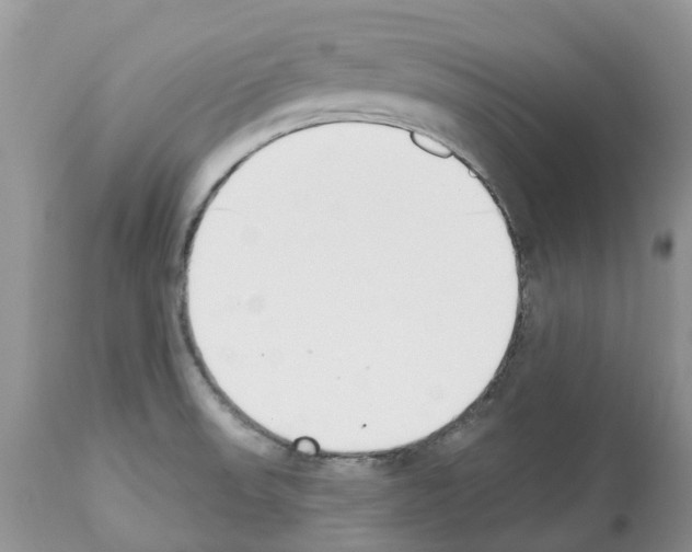 X0000112501523200909281145