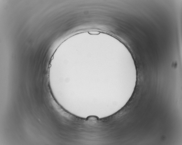 X0000112501524200909281145