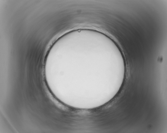 X0000112501525200909281145