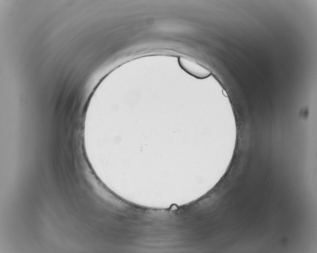 X0000112501526200909281145