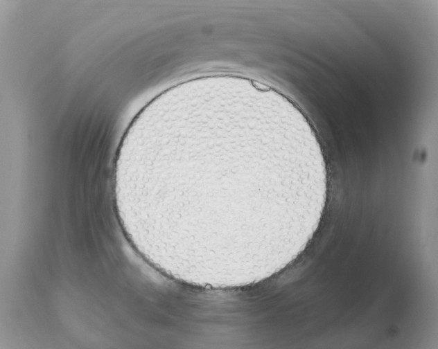 X0000112501527200909281145