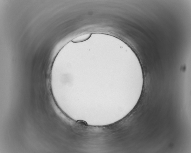 X0000112501528200909281145