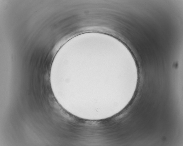 X0000112501529200909281145