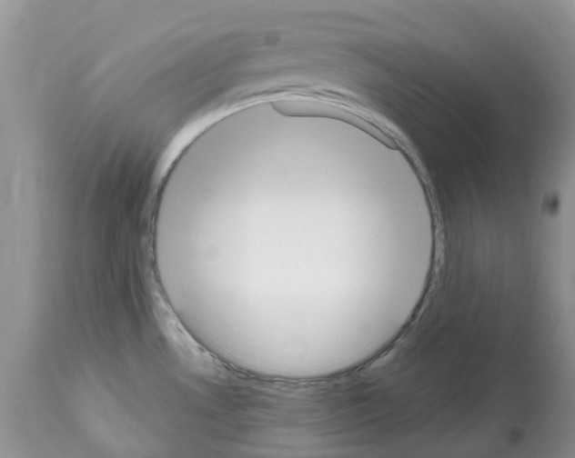 X0000112501530200909281145