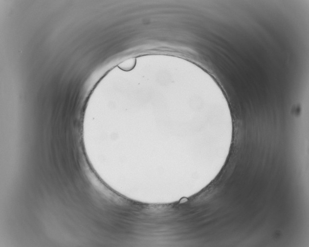 X0000112501531200909281145