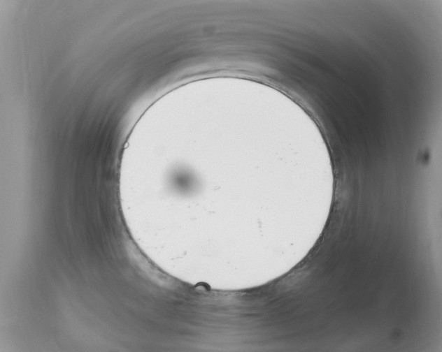 X0000112501532200909281145