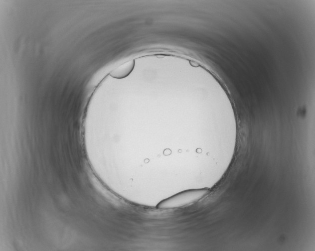 X0000112501535200909281145