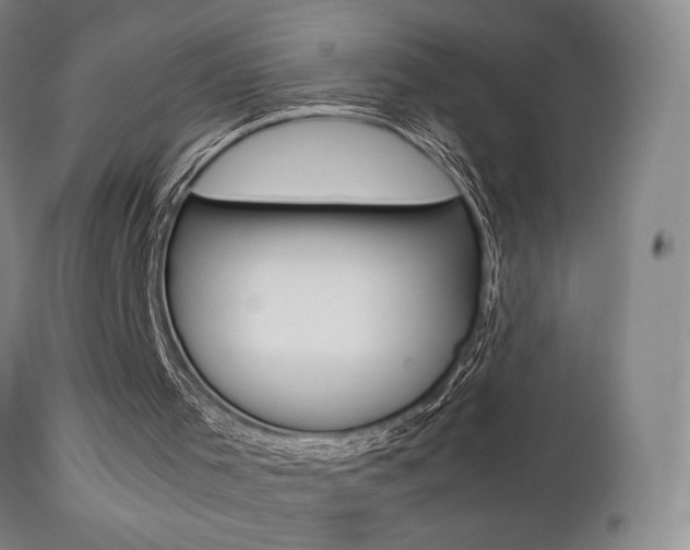 X0000112510001200908171059