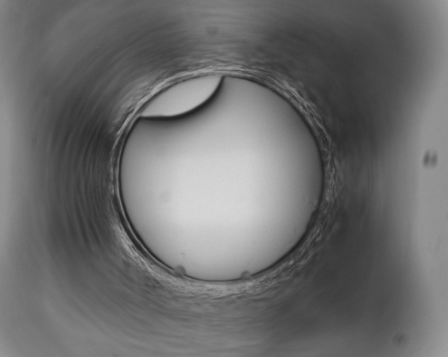 X0000112510002200908171059