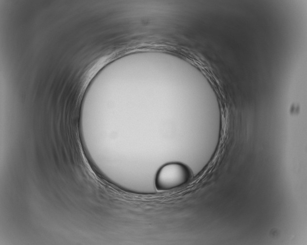 X0000112510003200908171059