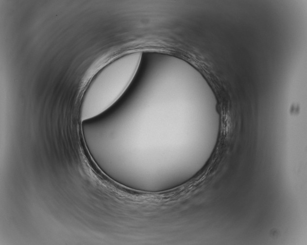 X0000112510004200908171059