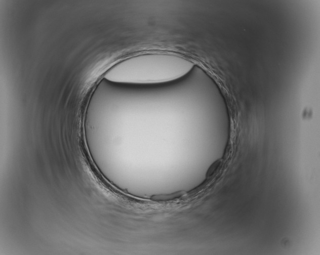X0000112510005200908171059