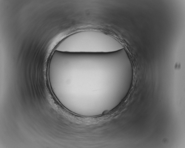X0000112510006200908171059