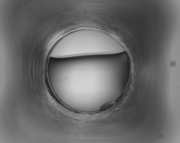 X0000112510007200908171059