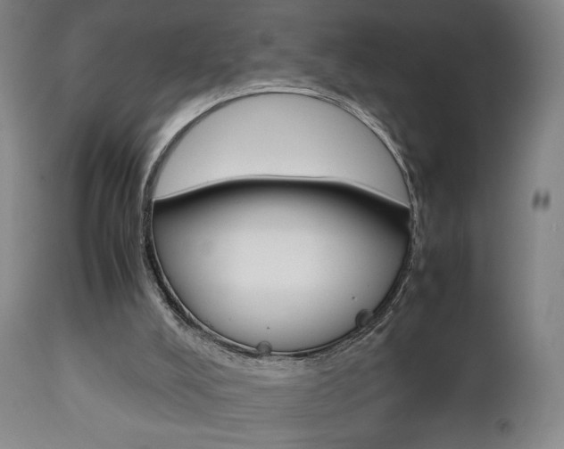X0000112510008200908171059