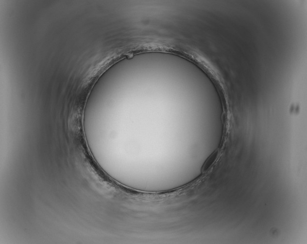 X0000112510009200908171059