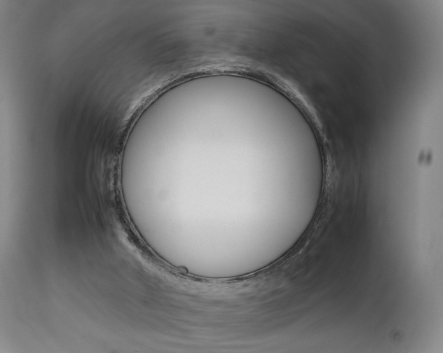 X0000112510010200908171059
