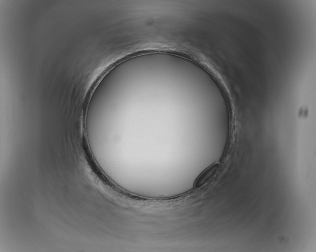 X0000112510011200908171059