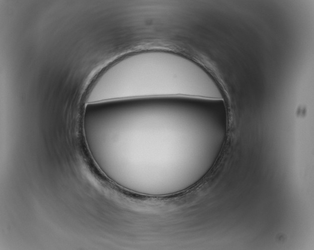 X0000112510012200908171059