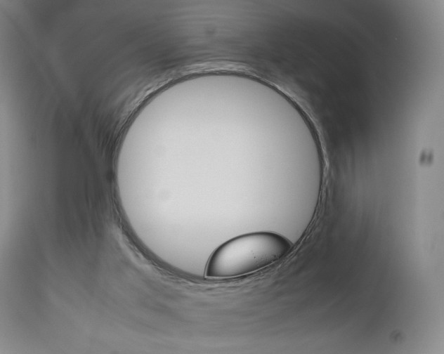 X0000112510013200908171059