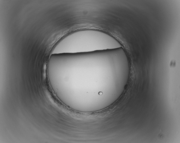 X0000112510014200908171059