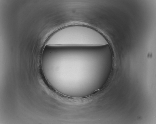 X0000112510015200908171059