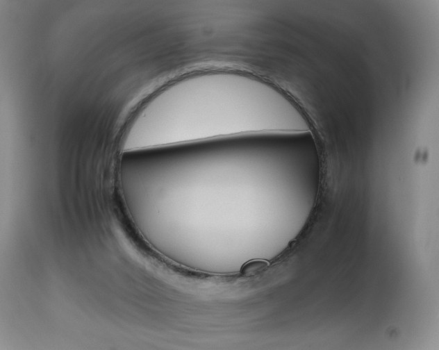 X0000112510016200908171059