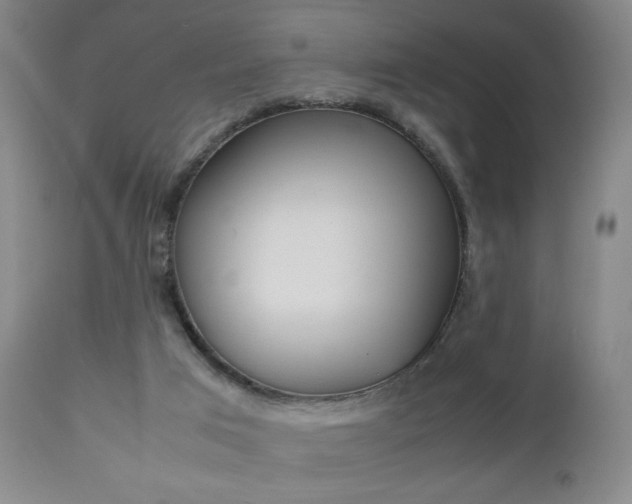 X0000112510017200908171059