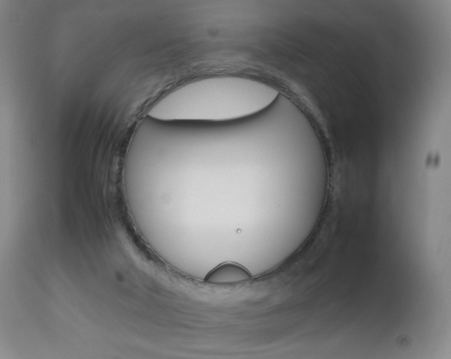 X0000112510018200908171059