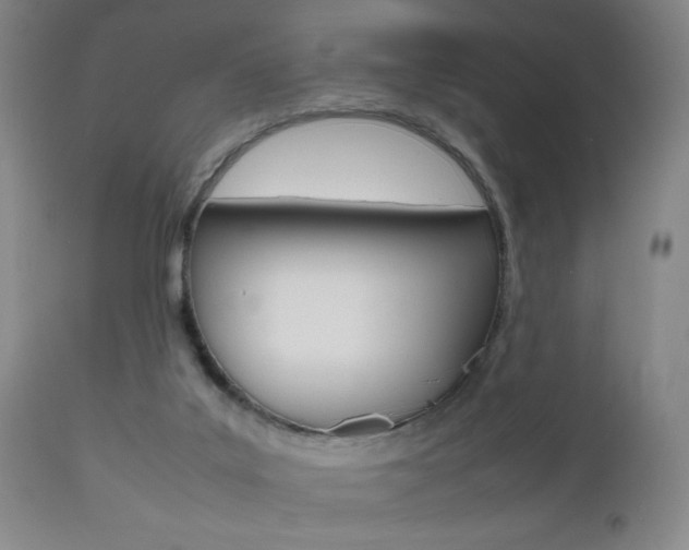 X0000112510019200908171059