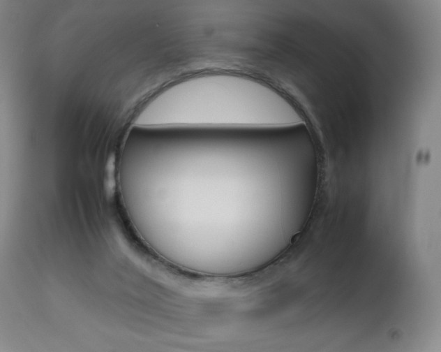 X0000112510020200908171059