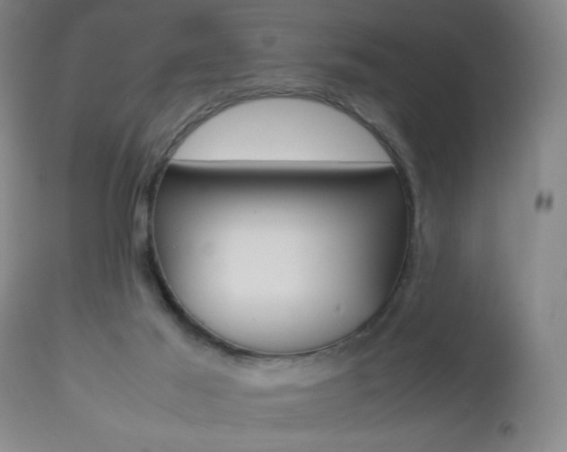 X0000112510021200908171059