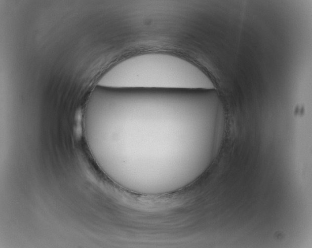 X0000112510022200908171059