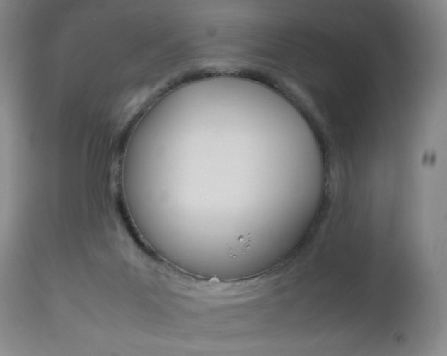 X0000112510023200908171059