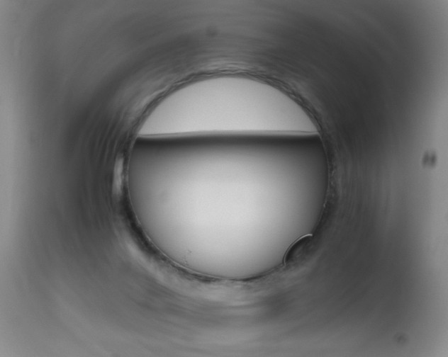 X0000112510024200908171059