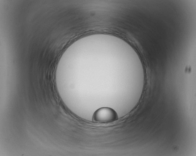 X0000112510025200908171059