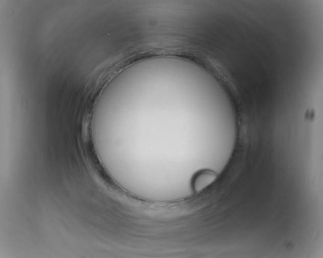 X0000112510026200908171059