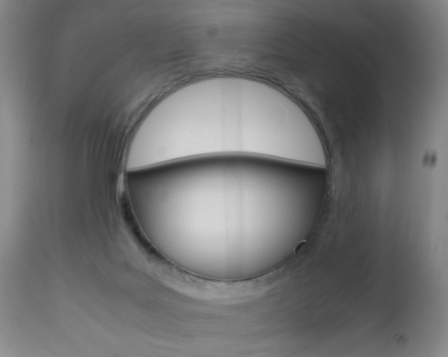X0000112510027200908171059