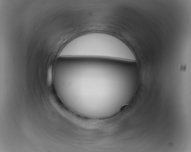 X0000112510028200908171059
