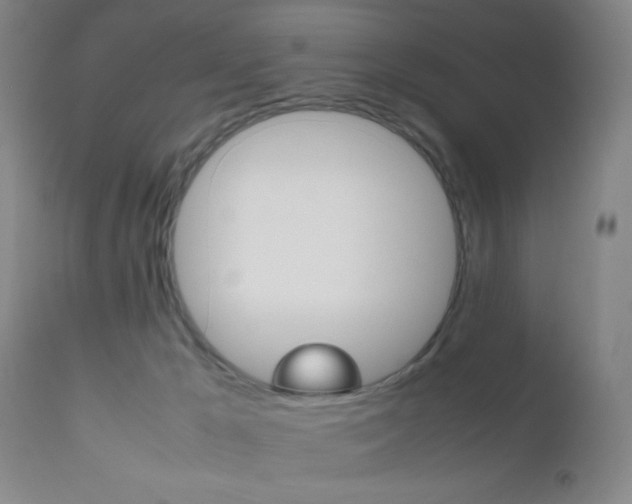 X0000112510029200908171059