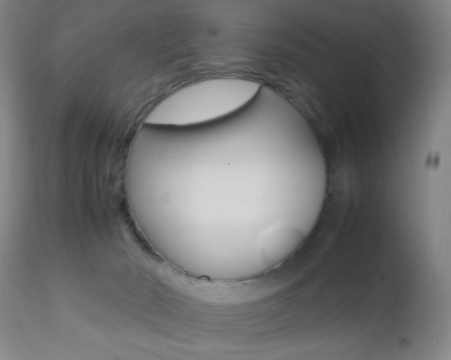 X0000112510030200908171059